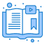 Program Icon
